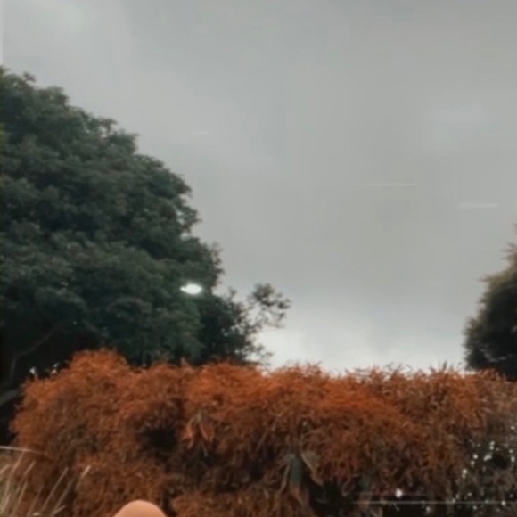 Meet your Posher, Isis - Picture 1 of 1